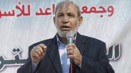 الدكتور محمود الزهار