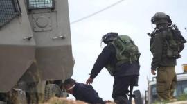 ارشيفية