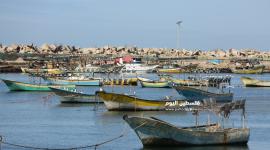 بحر غزة (13).JPG