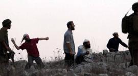 مستوطنون - حجارة - رشق