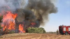 حريق