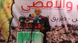 د. محمد الهندي