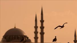 الاسلام