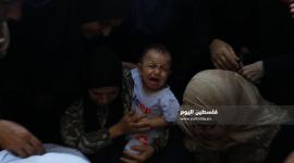 الشهيدة داليا السمودي
