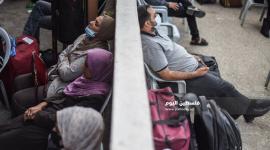معبر رفح 2 (11)