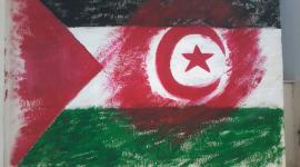 فعاليات يوم الارض