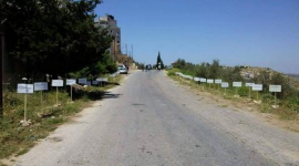 على طريق الحرية