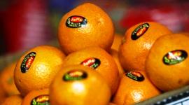 علامة