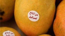 وسم المنتجات الإسرائيلية بعلامة لتميزها وبالتالي مقاطعتها