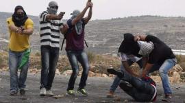 صورة توضيحية