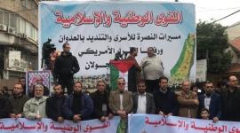 الفصائل