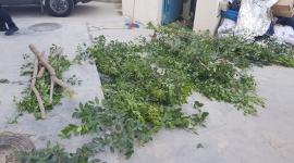 غات1