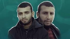 الشقيقان هاني وفادي ابو صلاح