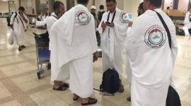 ارشيفية