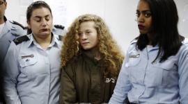 الفتاة عهد التميمي داخل محكمة "إسرائيلية"
