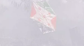 طائرات ورقية