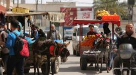 صورة ارشيفيه لباعة الخضار في الشوارع