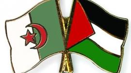 الجزائر و فلسطين
