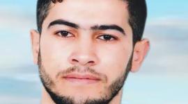 معتصم رداد