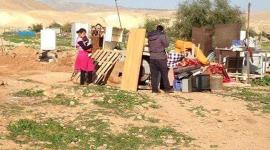 ارشيفية