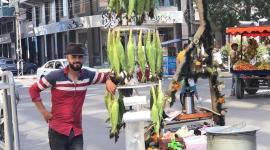 عربة "المهندس" لشاب حمدي لبد