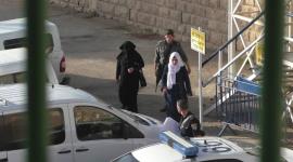 ارشيفية
