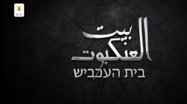 بيت العنكبوت.PNG