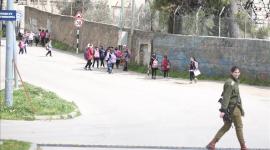 ارشيفية