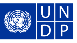 undp