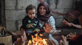 شتاء (16)