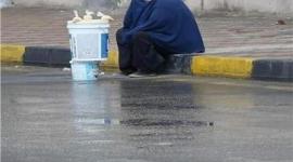 سيدة المطر