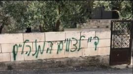 ارشيفية