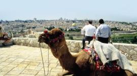 السياحة في فلسطين