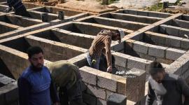 قبور الفقراء في غزة (6)