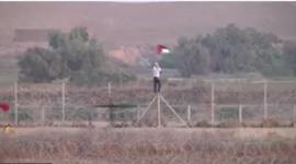 علم فلسطين.JPG