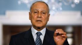 أحمد أبو الغيظ