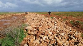 حدود الجزائر والمغرب