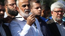 المحرر ياسر صالح