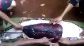 فاجعة.. في أندونيسيا بأول أيام عيد الفطر ثعبان يلتهم امراة