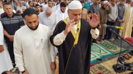 احمد المدلل
