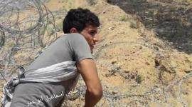 الشهيد رمزي النجار