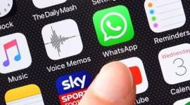 مواقع التواصل