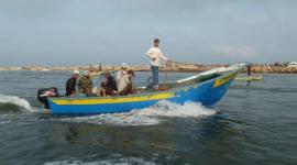 زوارق