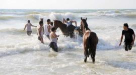 صورة تعبيرية "أرسيف"