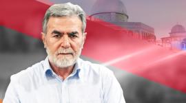 القائد النخالة