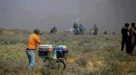 بائع البراد2