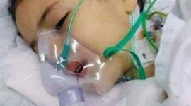 عائشة اللولو1