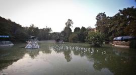 حديقة الحيوان في مصر