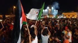الجزائر وفلسطين