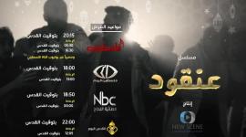 مسلسل عنقود الفلسطيني